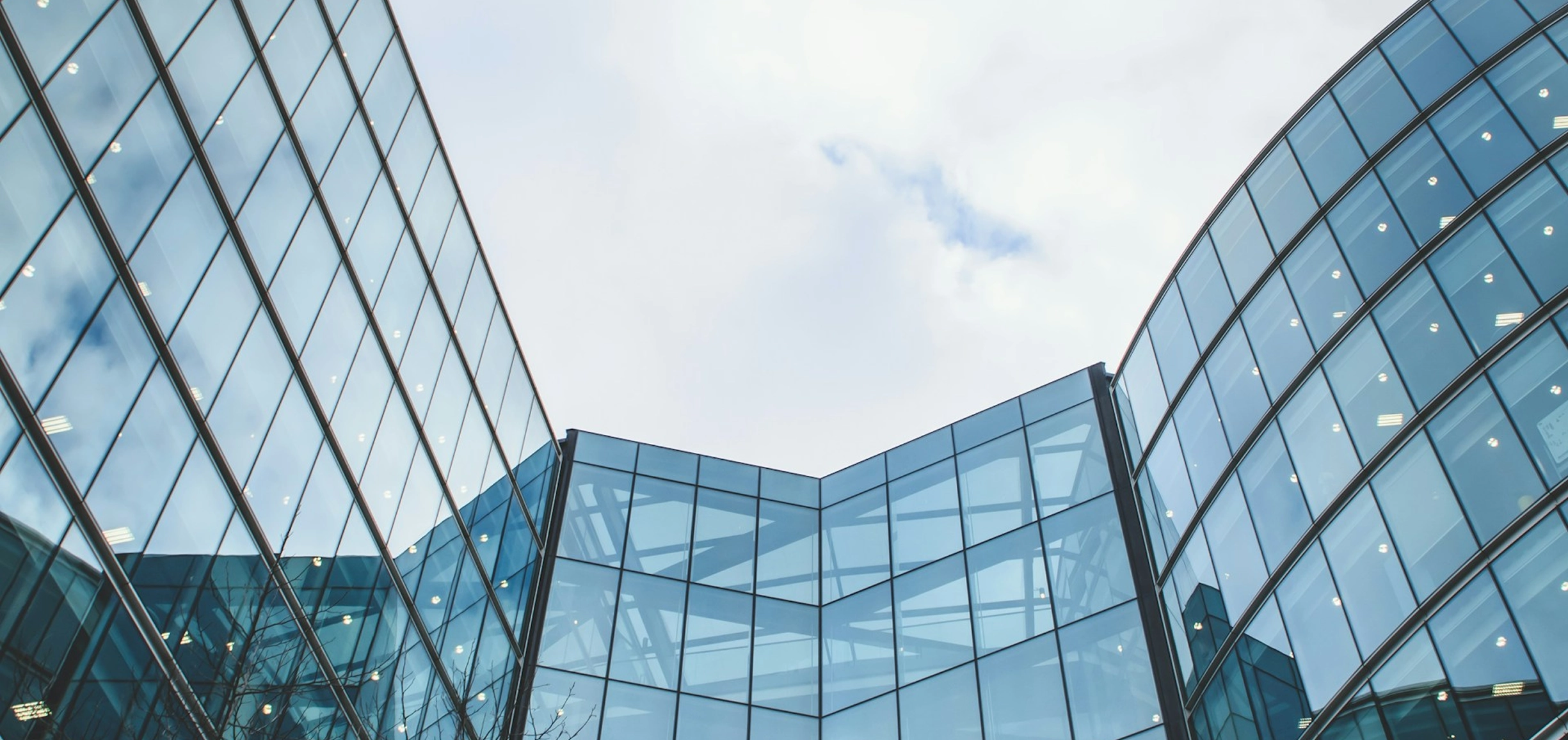 Lorem ipsum dolor sit amet consectetur.3